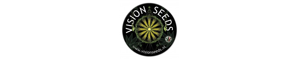 VISION SEEDS AUTO