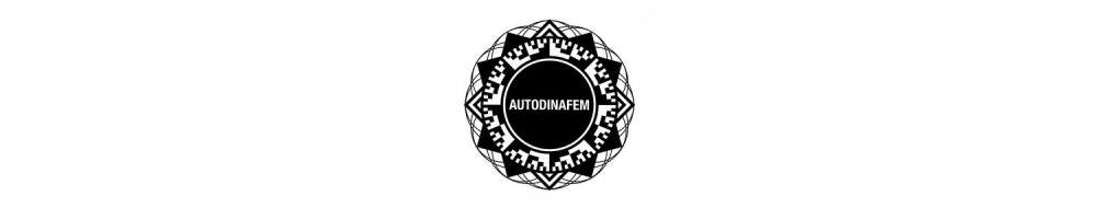Dinafem Auto