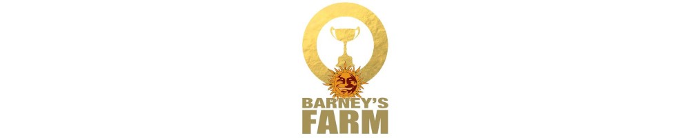 Barney's Farm Auto