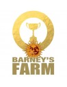 Barney's Farm Auto