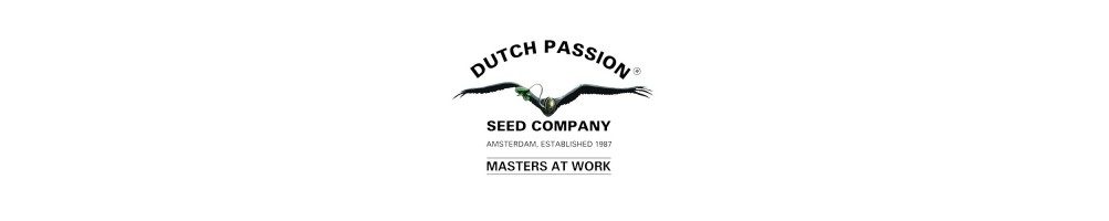 Dutch Passion Auto