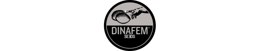 Dinafem Seeds Femm