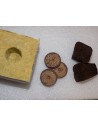 Germinazione e clonazione