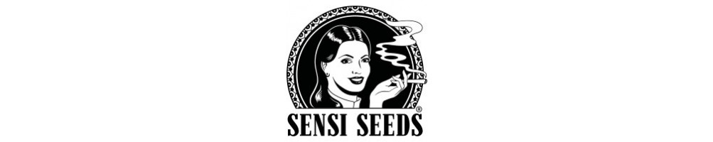 Sensi Seeds Automatic