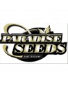 Paradise Seeds Auto