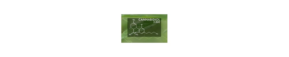 Femminizzate CBD - TUTTE