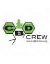 CBD Crew Femminizzati