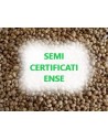 Semi Certificati ENSE 
