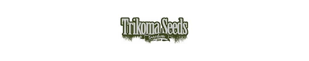 Trikoma Seeds Auto