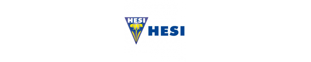 Hesi