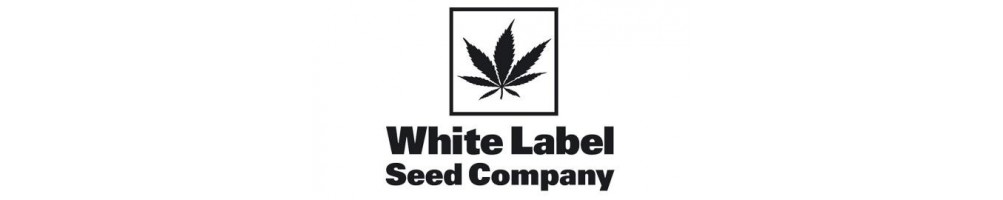 White Label Femm