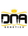 DNA Genetics Femminizzati