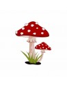 Spore da Collezione e Kit di Coltivazione Funghi