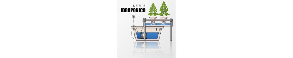 Idroponica e Aereoponica