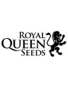 Royal Queen Seeds