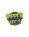 Ripper Seeds