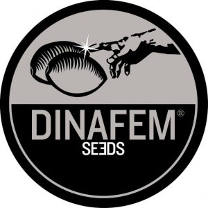 Dinafem Seeds