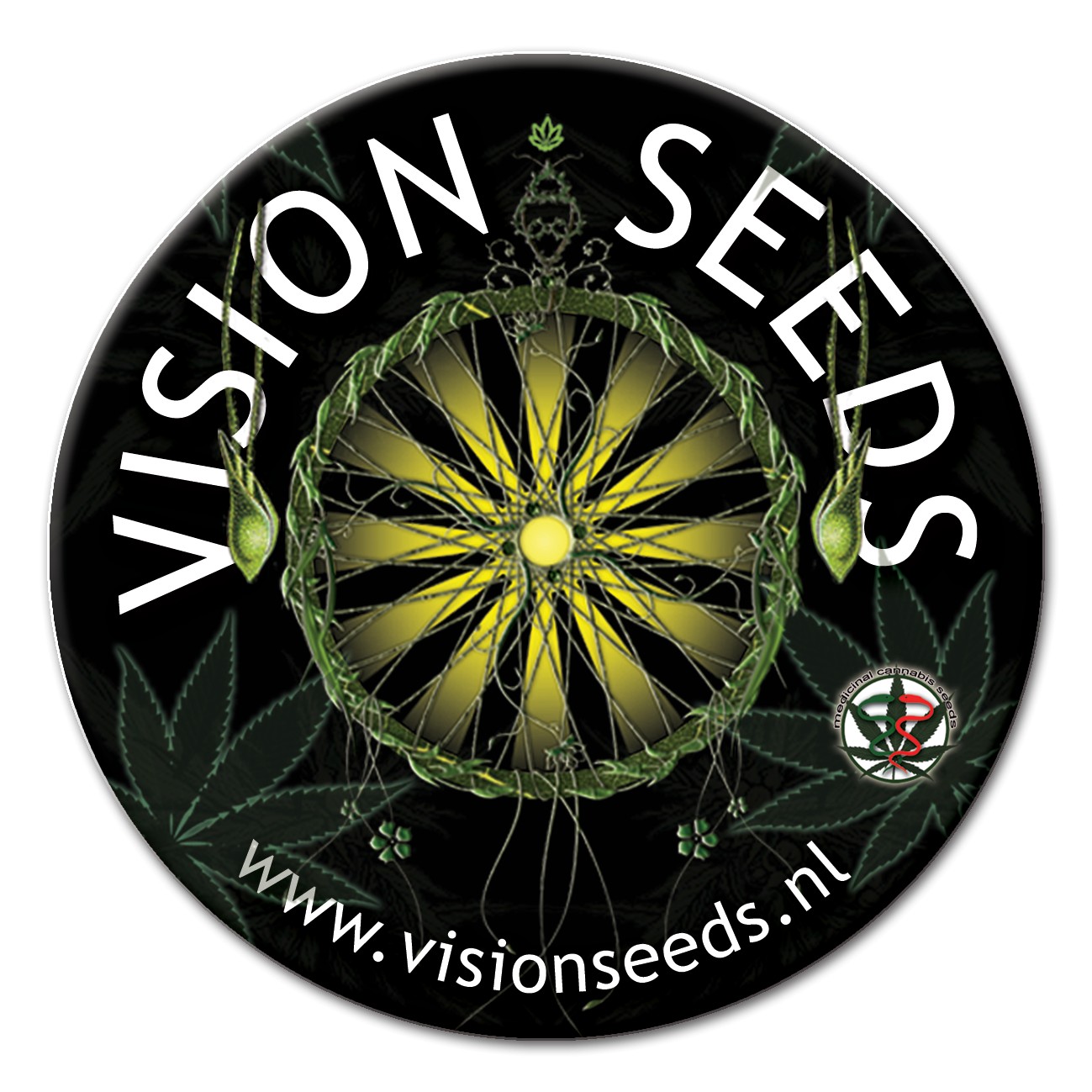 Vision Seeds