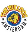 The Bulldog Amsterdam