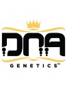 DNA Genetics