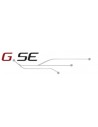 GSE