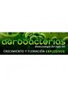 Agrobacterias