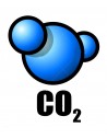 CO2 Anidride Carbonica