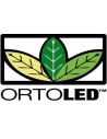 Ortoled