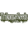 Trikoma Seeds