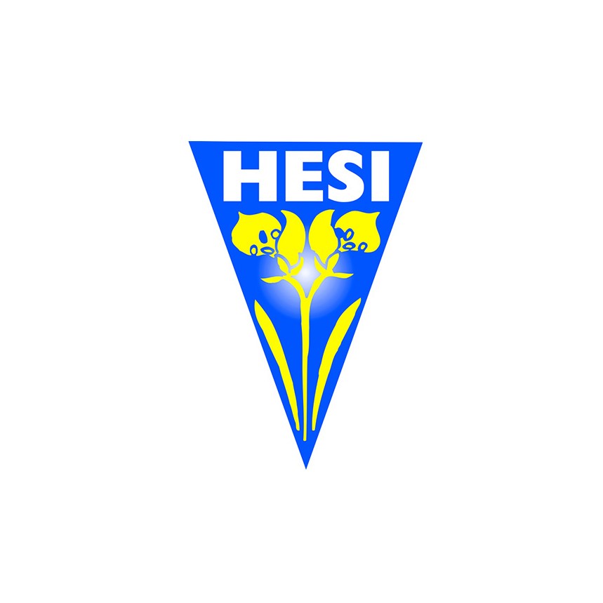 HESI